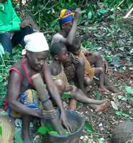 Pygmées de Centrafrique